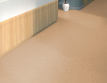 Tarkett iq Melodia 2620 фото 2 | FLOORDEALER